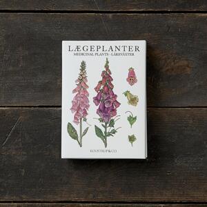 MEDICINAL PLANTS - 8 cards