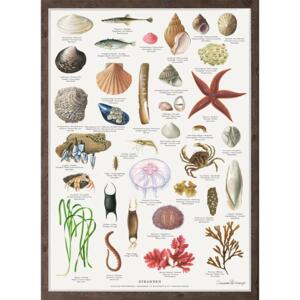 THE BEACH - Poster A2