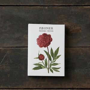 Peonies – 8 cards