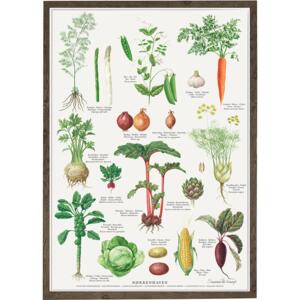 KITCHEN GARDEN - Poster A2