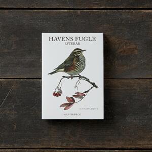 GARDEN BIRDS AUTUMN - 8 cards