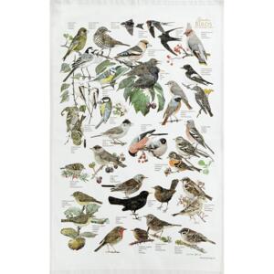 ORGANIC TEA TOWEL - Garden Birds