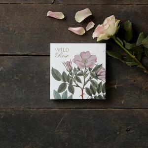 WILD ROSE - Square card set