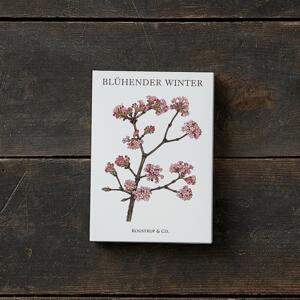 BLÜHENDER WINTER - 8 cards (German)