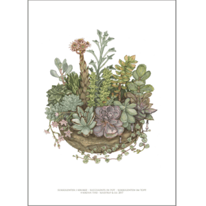 ART PRINT A3 - Succulents in a Pot
