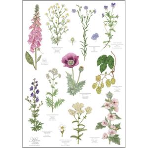 Organic Dish Towel - Klosterhaven