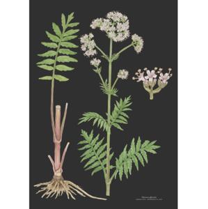 ART PRINT A3 - Valerian