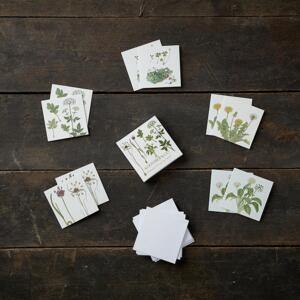MINI SQUARE CARD - Edible wild plants - 8.5 x 8.5 cm
