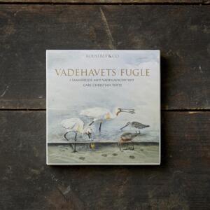 Birds of the Wadden Sea - Square card set