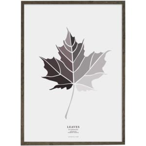 Norway Maple Leaf (grey) – ART PRINT - CHOOSE SIZE