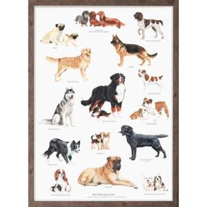 DOG BREEDS - A2 Poster