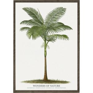 Solitaire palm - ART PRINT - CHOOSE SIZE