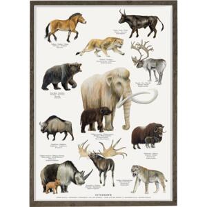 Ice Age Animals - A2 Poster