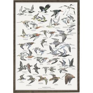 Wading Birds - A2 Poster