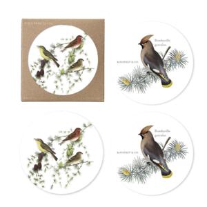 Coasters - Birds in Conifer - 4-pack