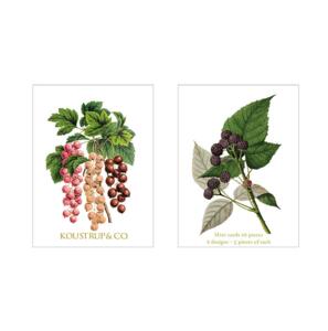 Mini Cards Summer – Ribs