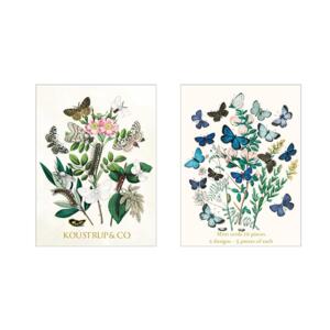 SUMMER MINI CARDS – Nordic Butterflies