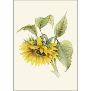Sunflower - A5 single card