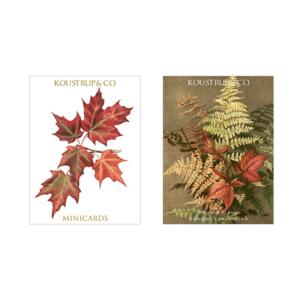 MINI CARDS AUTUMN – Ferns