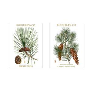 Mini cards Christmas - Pine Cones