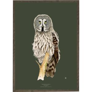 Great Grey Owl - ART PRINT - CHOOSE SIZE