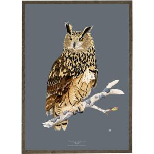 Large Eagle Owl - KUNSTPRINT - CHOOSE SIZE