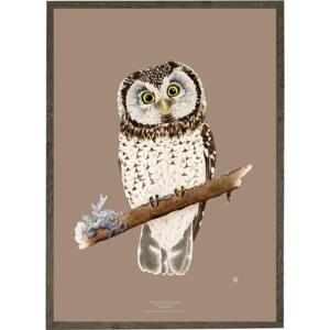 Pearl Owl - ART PRINT - CHOOSE SIZE