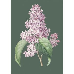 Lilac - A5 single card