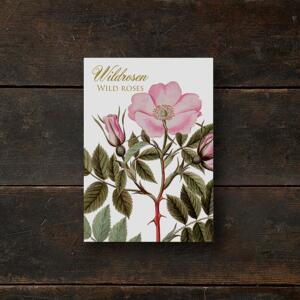 WILDROSEN - 8 cards (German)