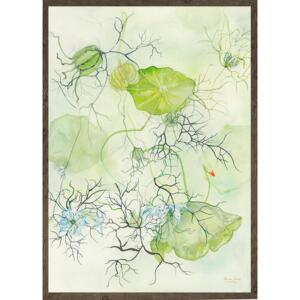 Love in a mist - ART PRINT - CHOOSE SIZE