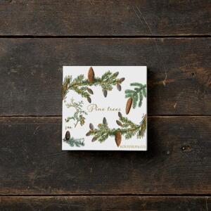 PINE TREES - Square card set