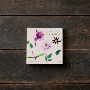 DAHLIA - Square card set