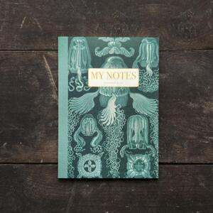 Notebook - Haeckel 3
